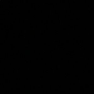 Offer! Offer! Offer!